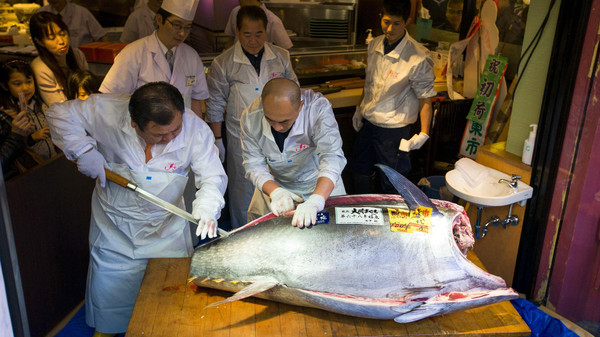 The President of the sushi restaurant chain Sushi Zanmai, Kiyoshi Kimura, cuts a blue fin tuna outside his main restaurant at the outer Tsukiji market in Tokyo